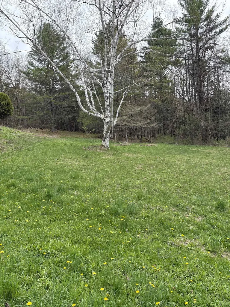 1250 Braintree Hill Road Braintree VT 05060
