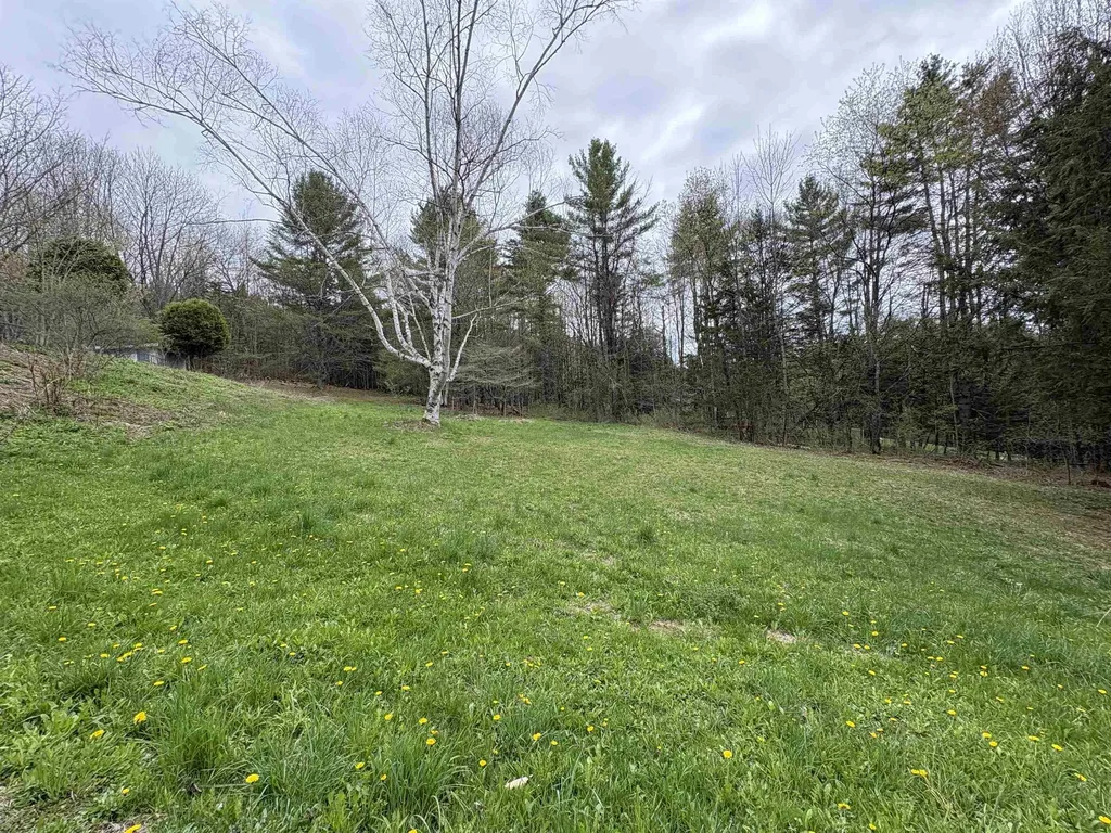 1250 Braintree Hill Road Braintree VT 05060