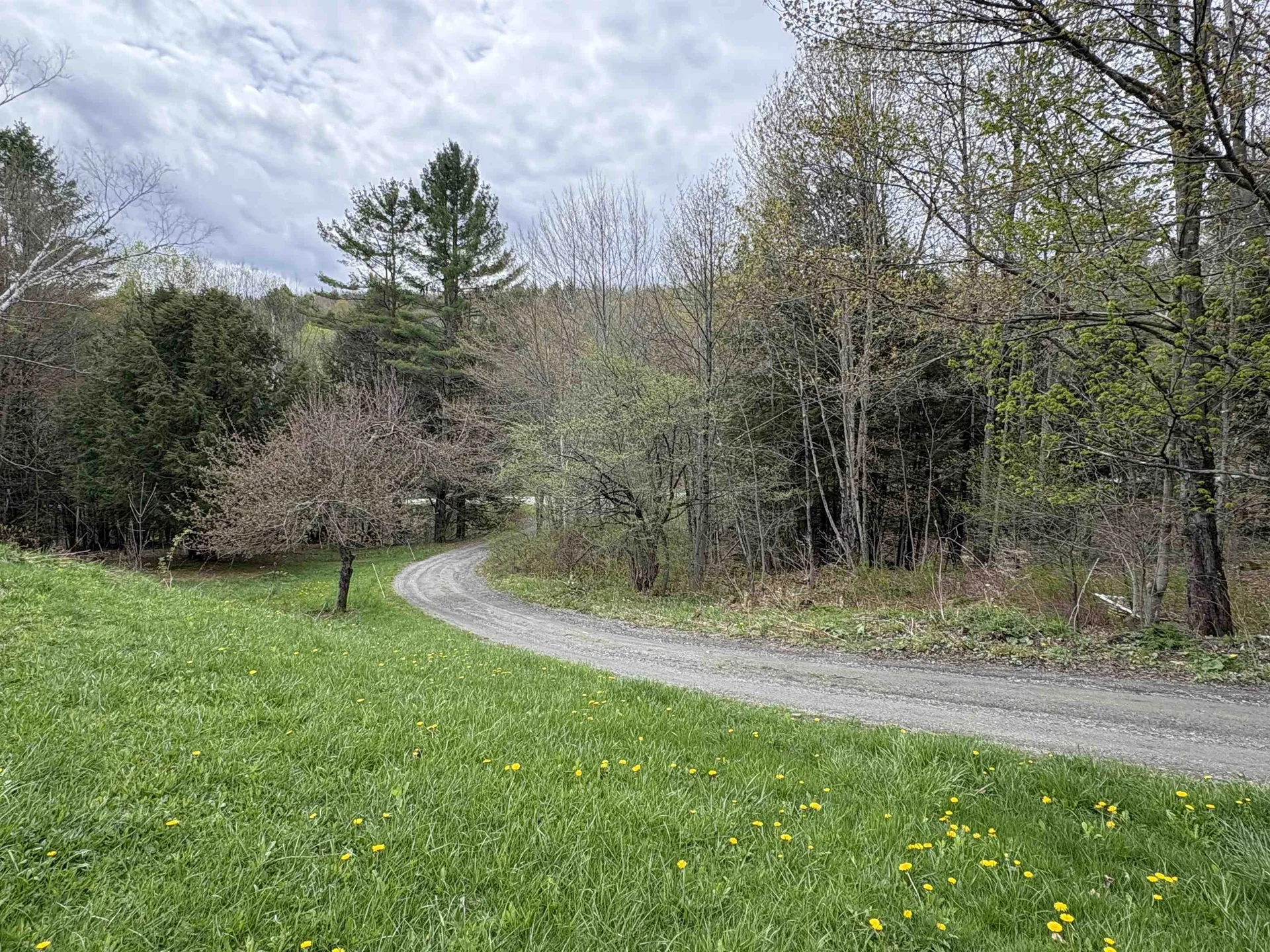 1250 Braintree Hill Road Braintree VT 05060