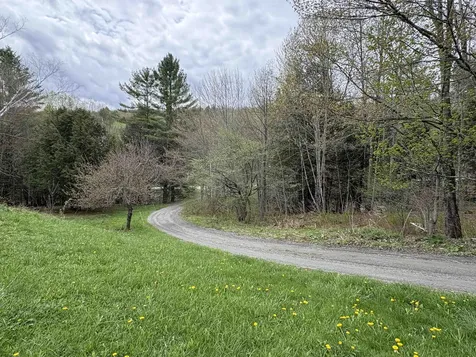 1250 Braintree Hill Road Braintree VT 05060