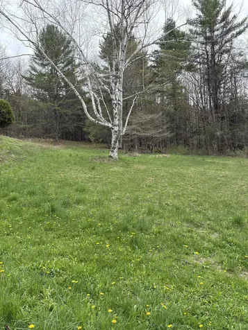 1250 Braintree Hill Road Braintree VT 05060