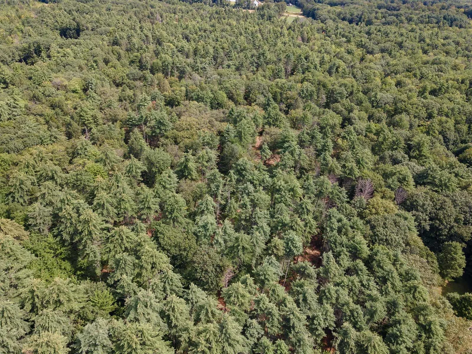 Tbd Second Crown Point Road Strafford NH 03884