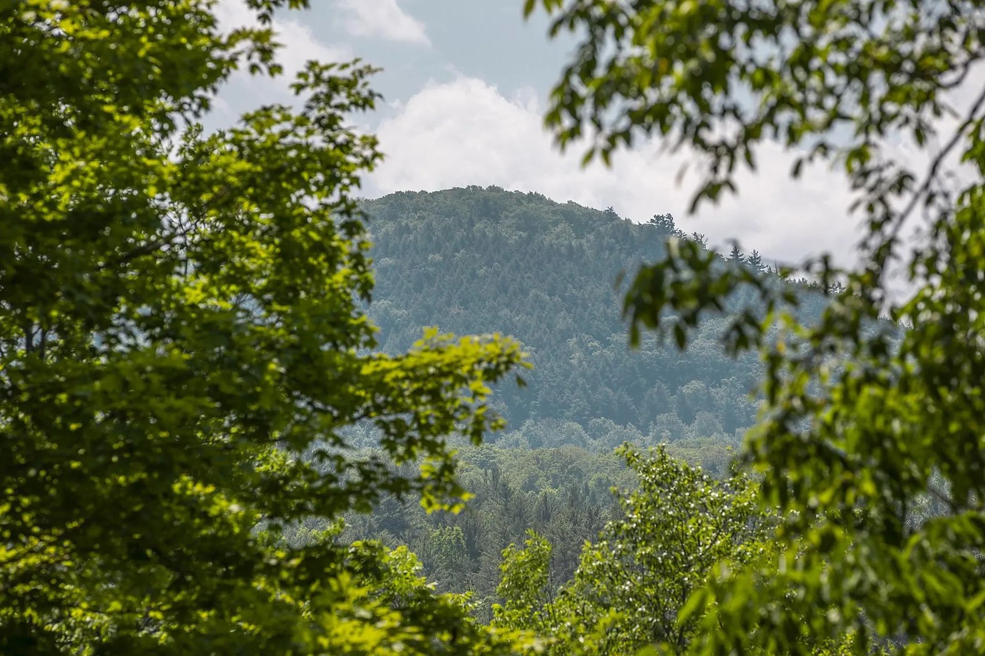3440 Route 44 West Windsor VT 05037