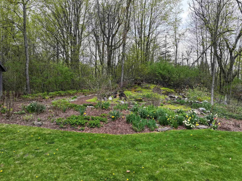 525 Columbus Smith Road Salisbury VT 05769