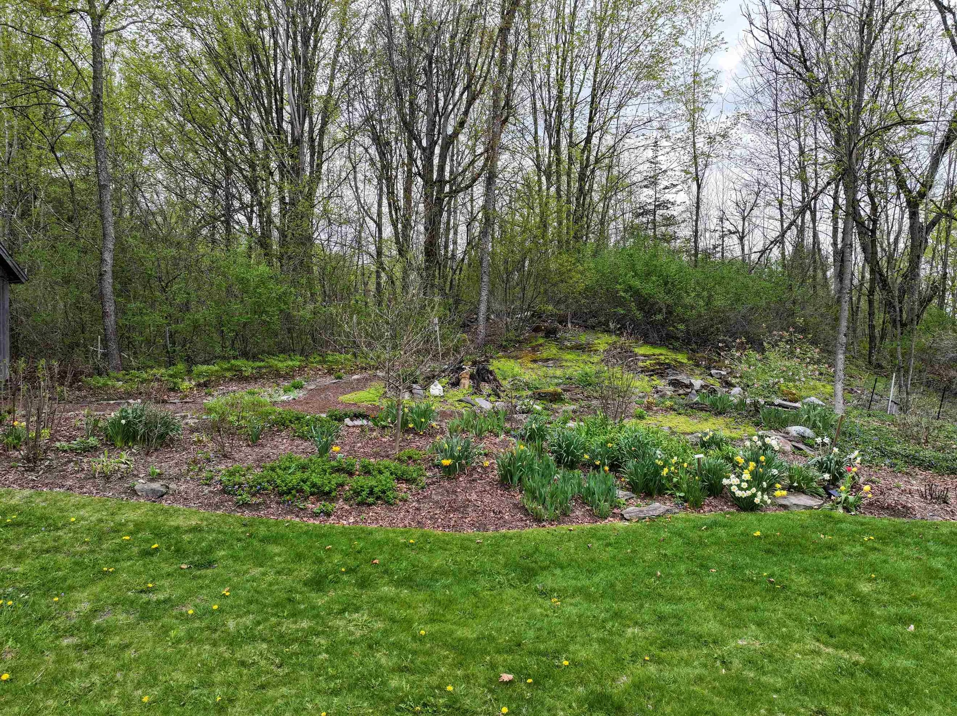 525 Columbus Smith Road Salisbury VT 05769