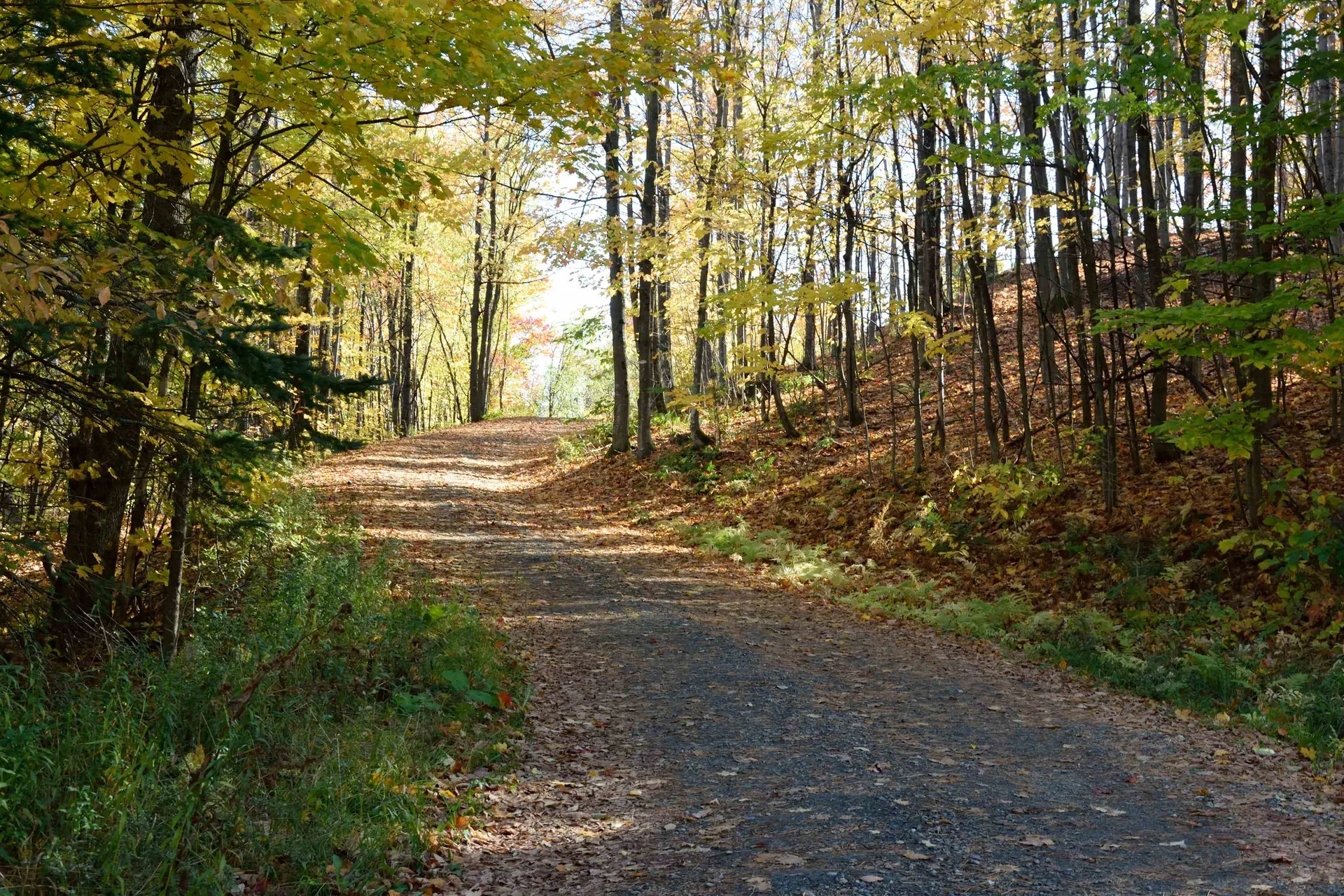 6095 Lake Road Newport Town VT 05855