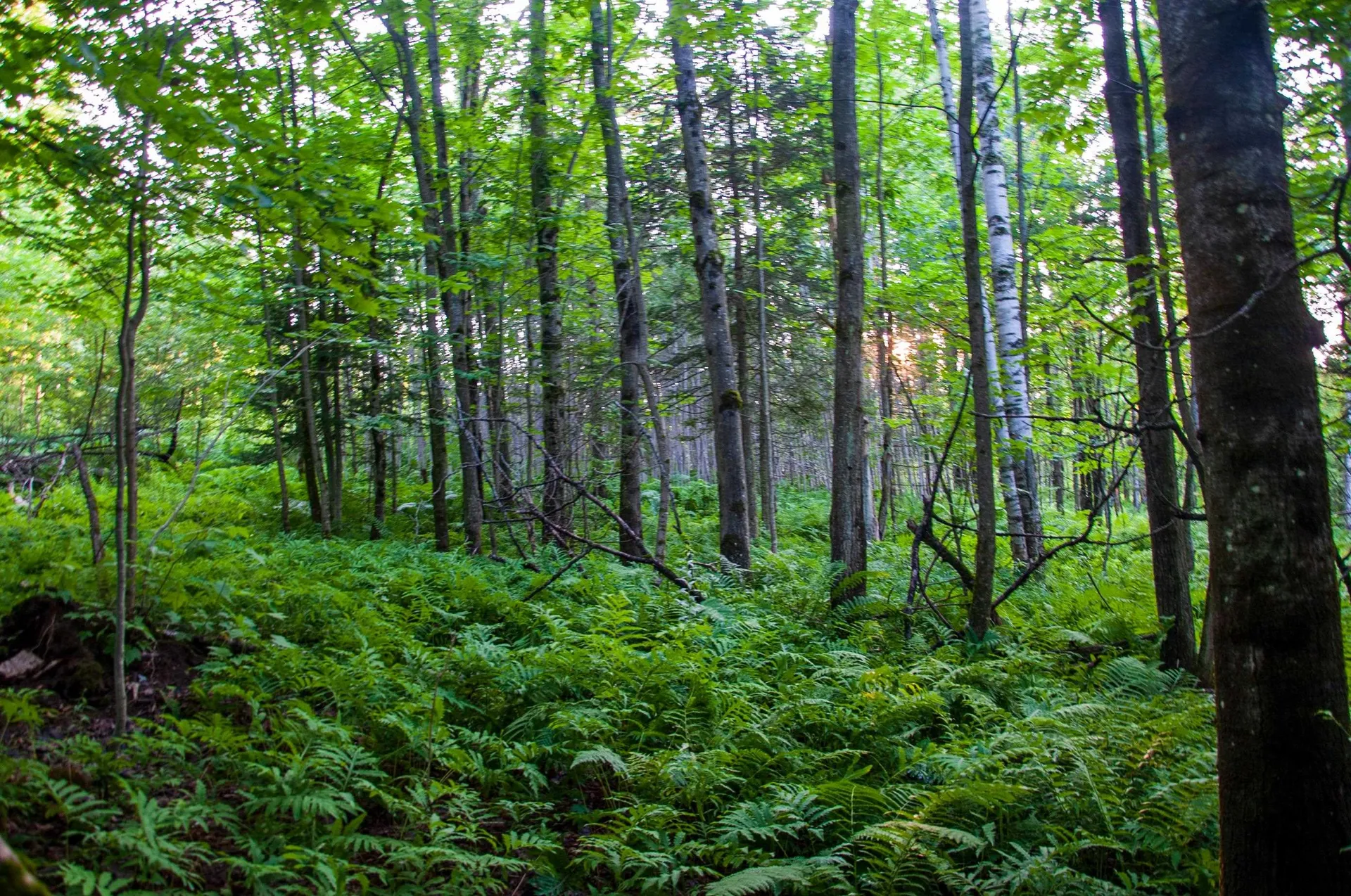6095 Lake Road Newport Town VT 05855