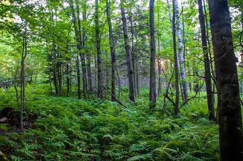 6095 Lake Road Newport Town VT 05855