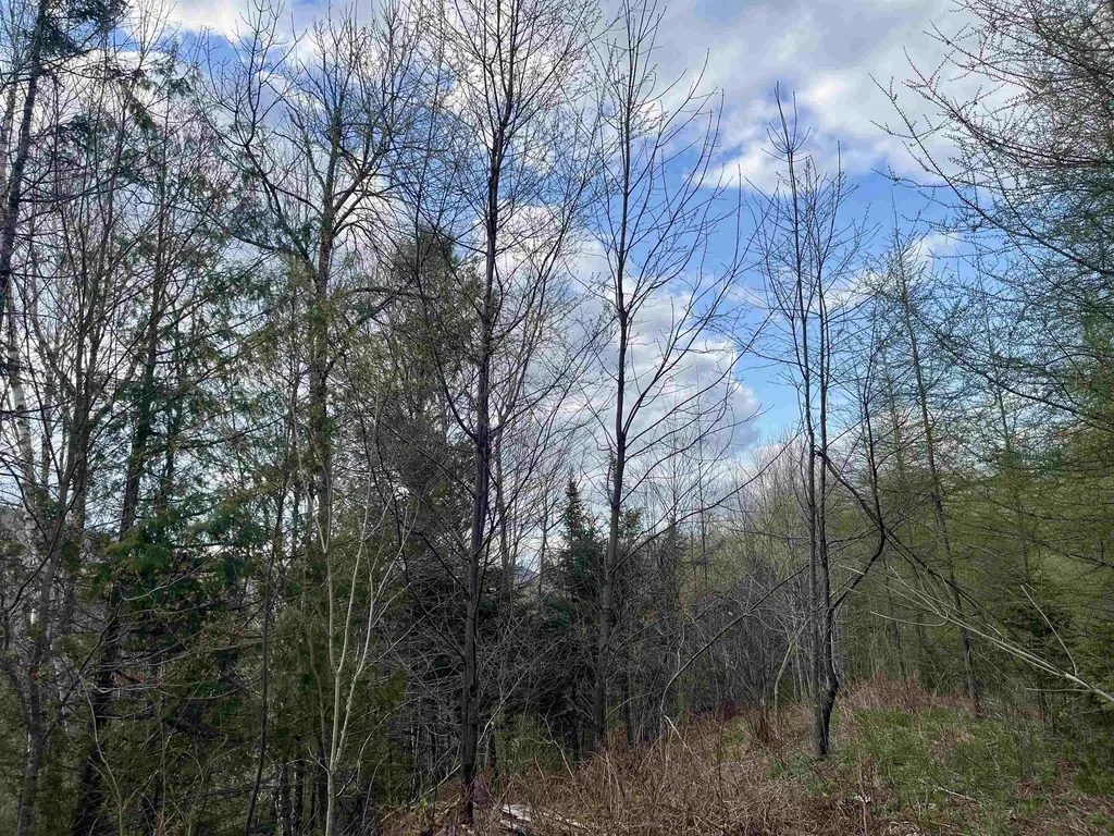 00 Lost Nation Road East Haven VT 05837