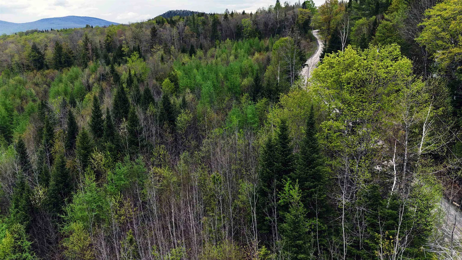 00 Lost Nation Road East Haven VT 05837