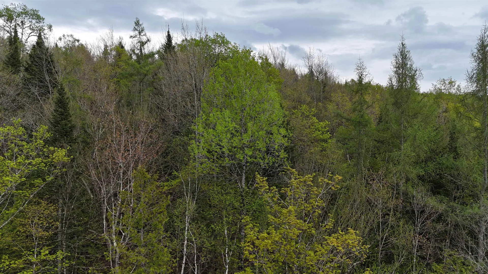 00 Lost Nation Road East Haven VT 05837