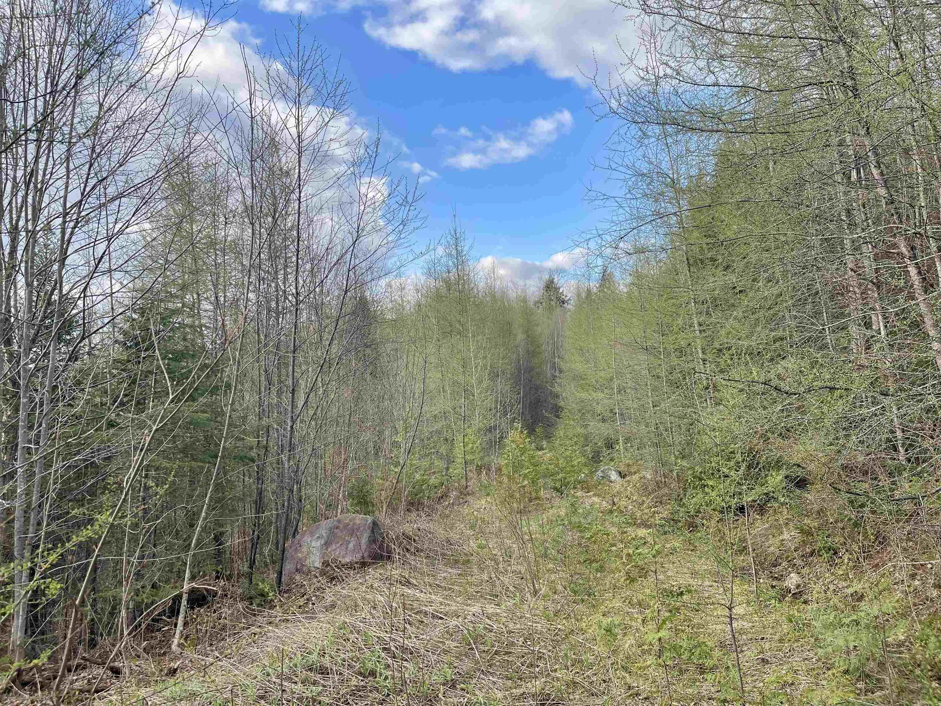 00 Lost Nation Road East Haven VT 05837