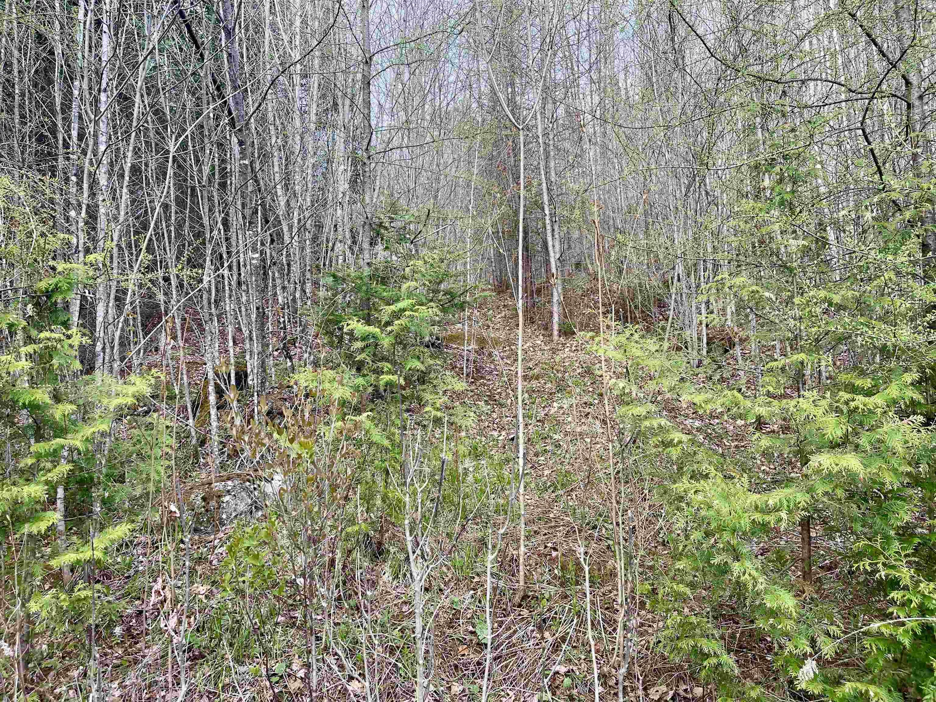 00 Lost Nation Road East Haven VT 05837