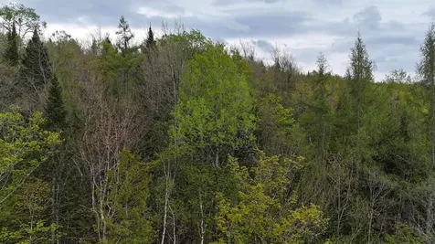 00 Lost Nation Road East Haven VT 05837