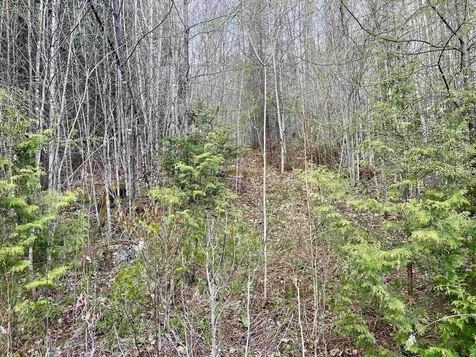 00 Lost Nation Road East Haven VT 05837