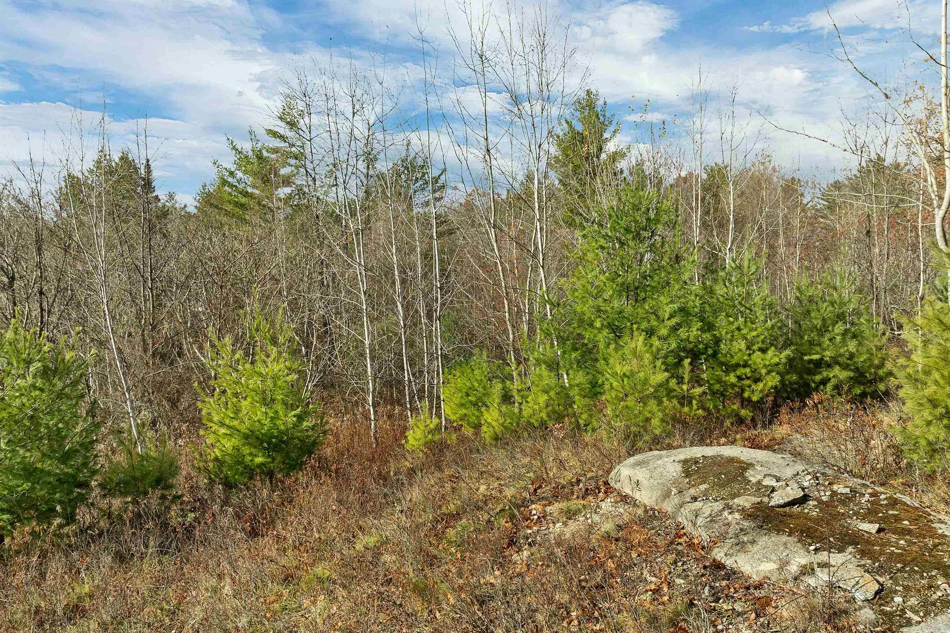 7 Lady Slipper Lane Moultonborough NH 03254