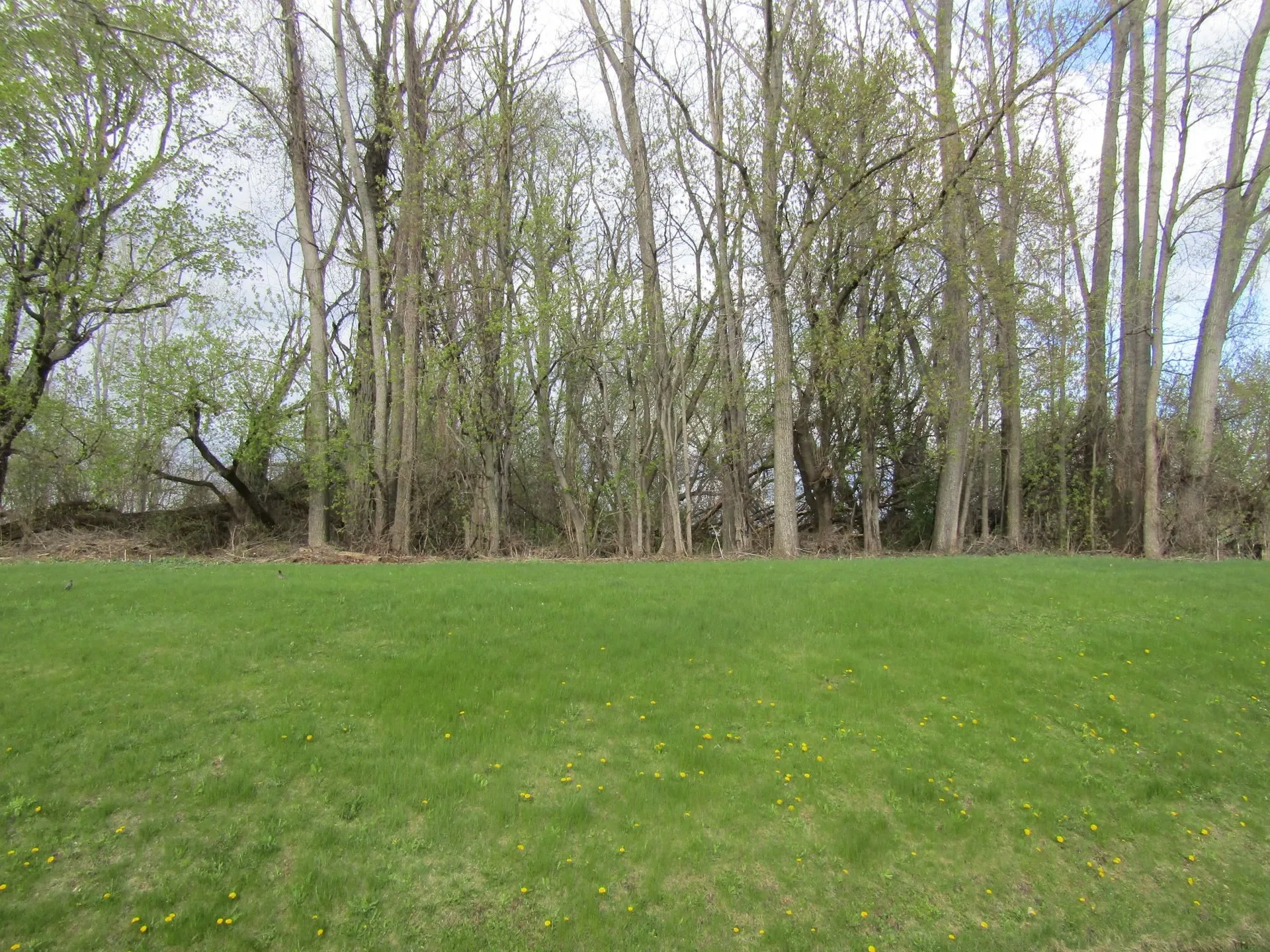 168 Border Road Alburgh VT 05440