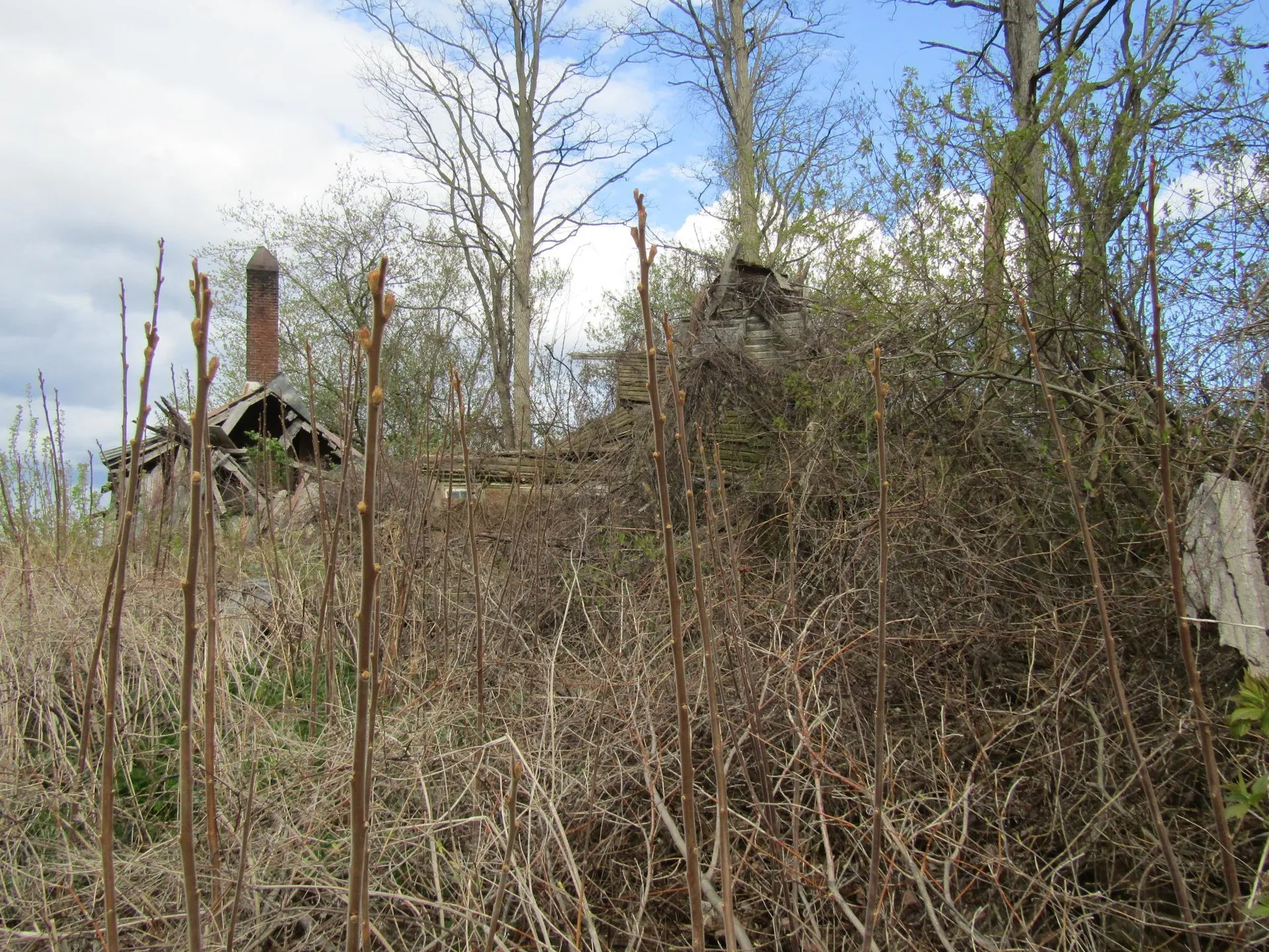 168 Border Road Alburgh VT 05440