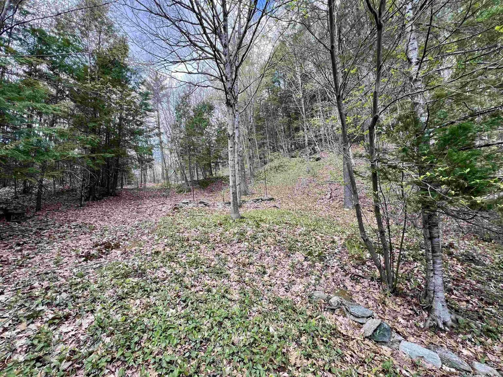 5494 Vt Route 30 Townshend VT 05353