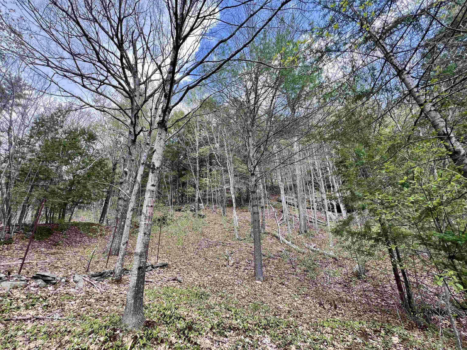 5494 Vt Route 30 Townshend VT 05353