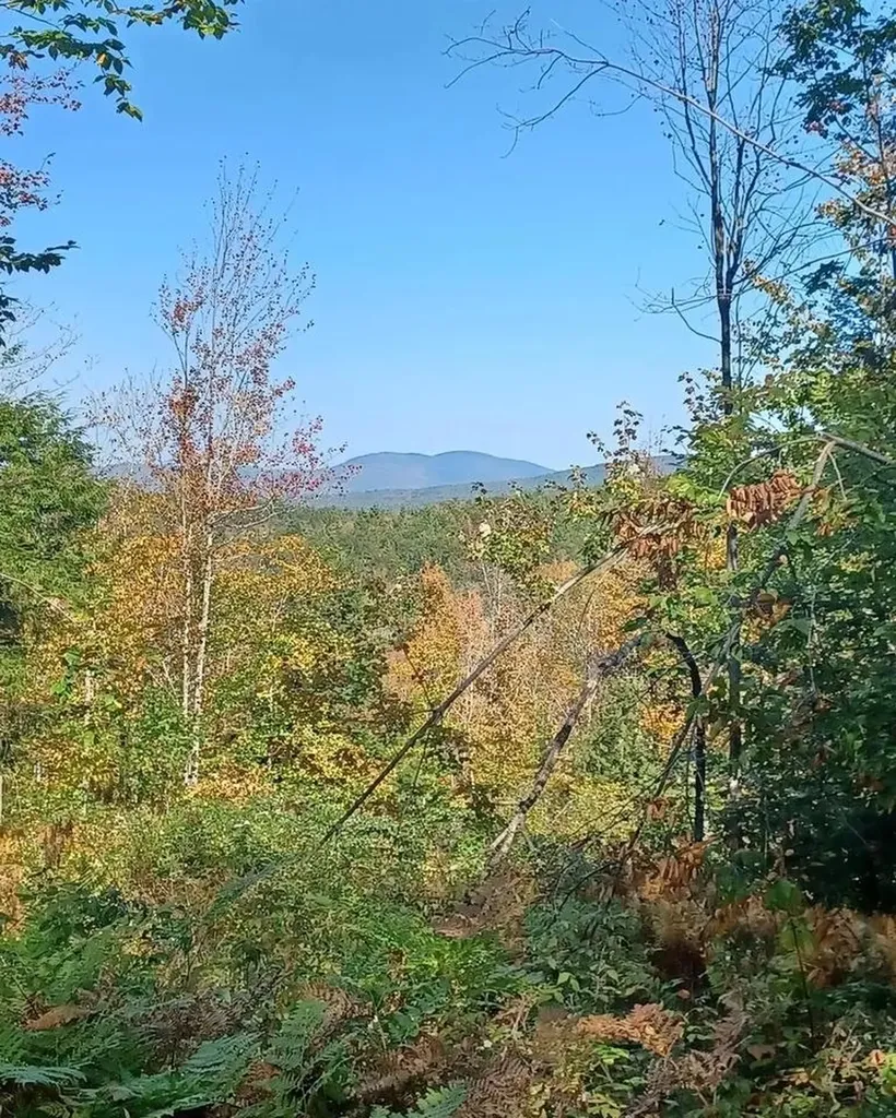 8 Wakefield North Road Wolfeboro NH 03894