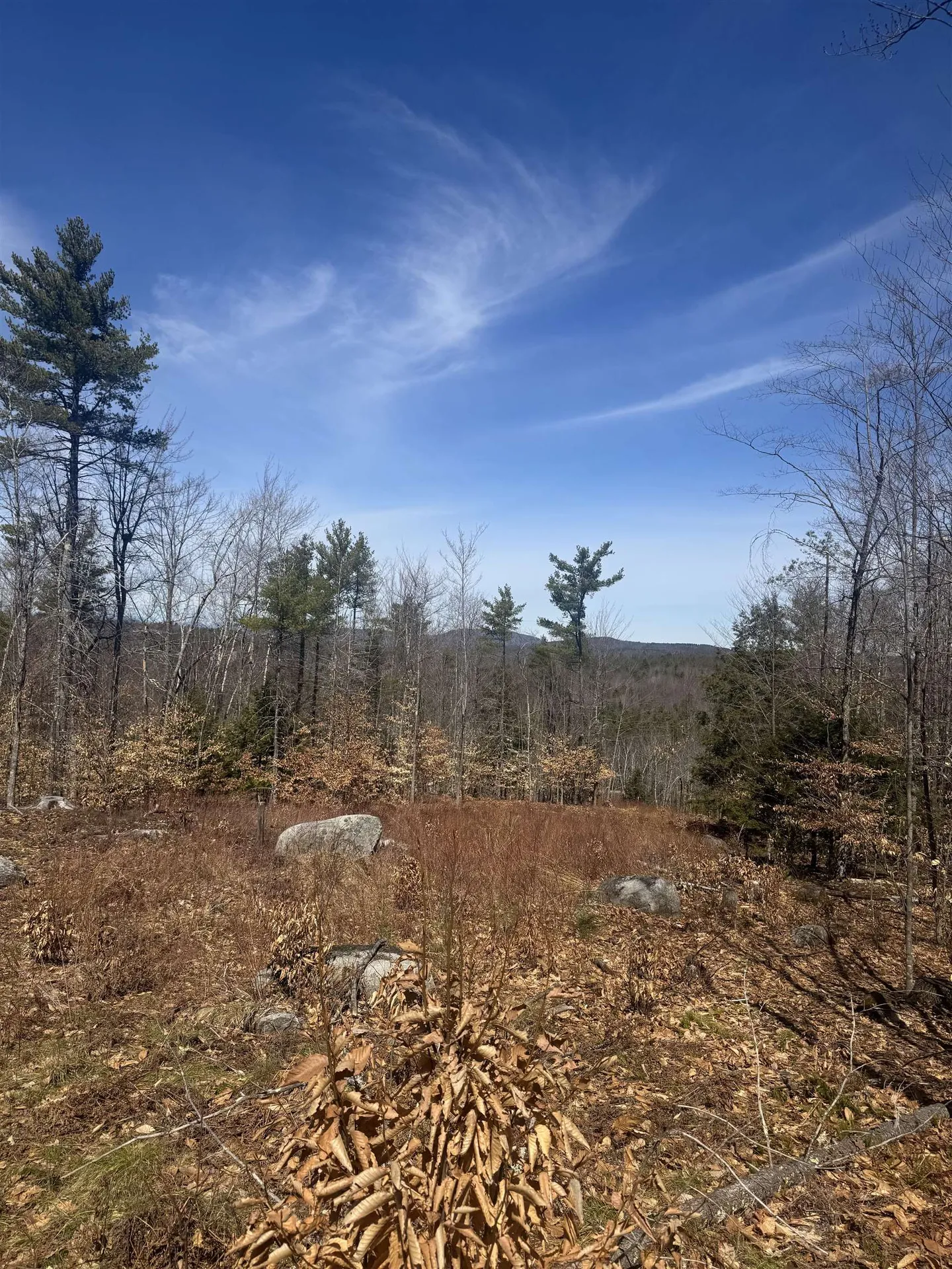 8 Wakefield North Road Wolfeboro NH 03894