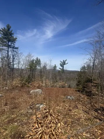 8 Wakefield North Road Wolfeboro NH 03894