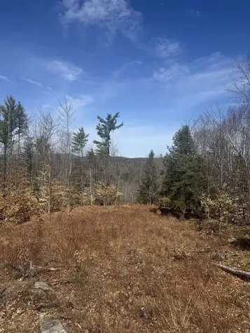 8 Wakefield North Road Wolfeboro NH 03894