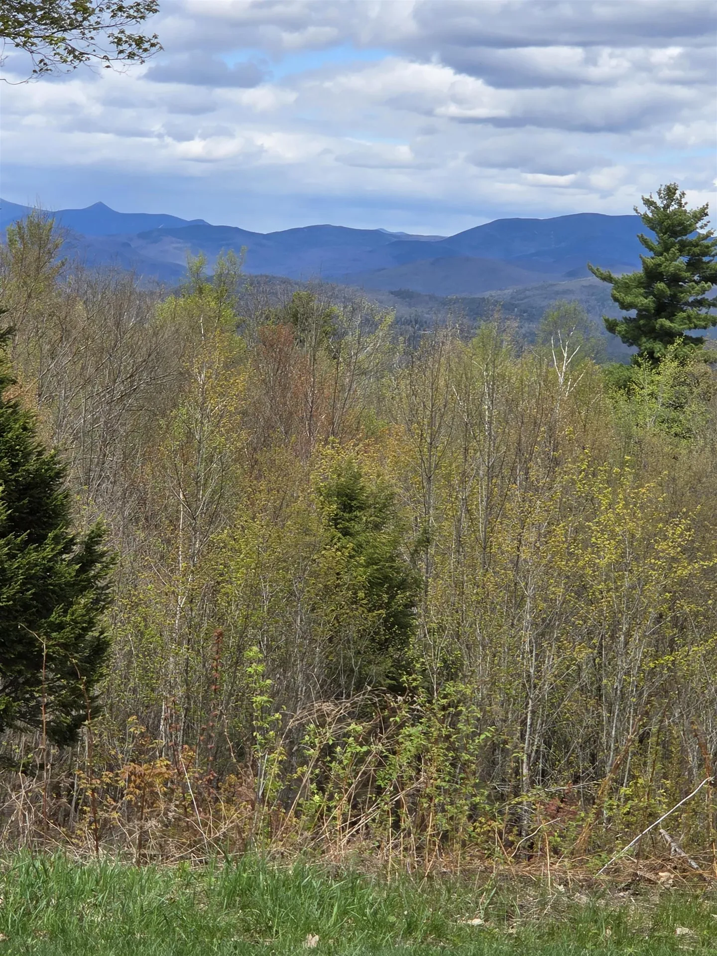 15 Antler Road Campton NH 03223