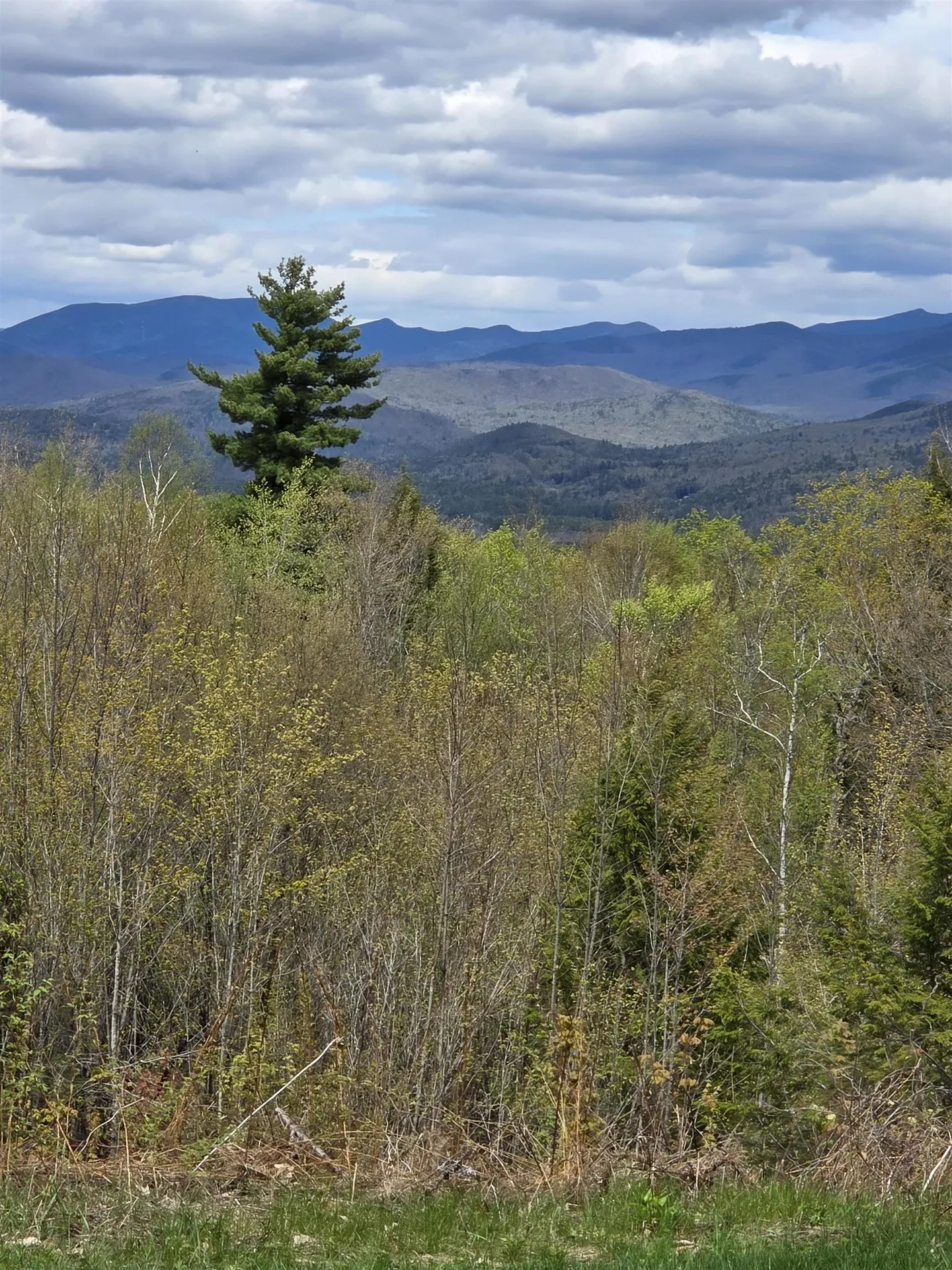 15 Antler Road Campton NH 03223