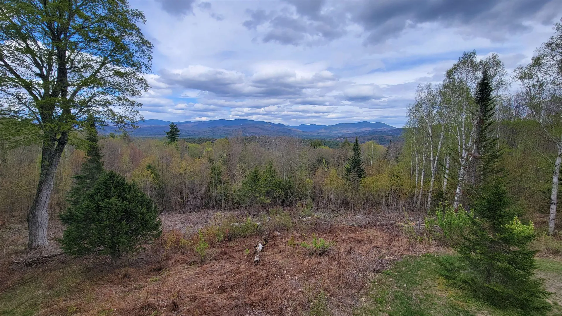 15 Antler Road Campton NH 03223
