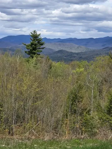 15 Antler Road Campton NH 03223