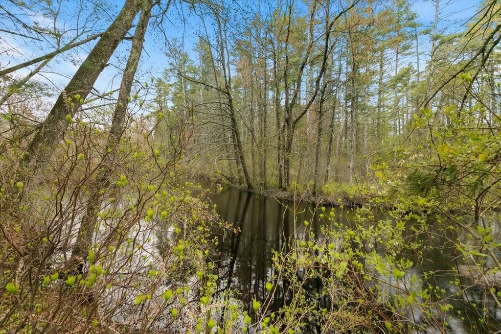 149 Pheasant Run Drive Chester NH 03036