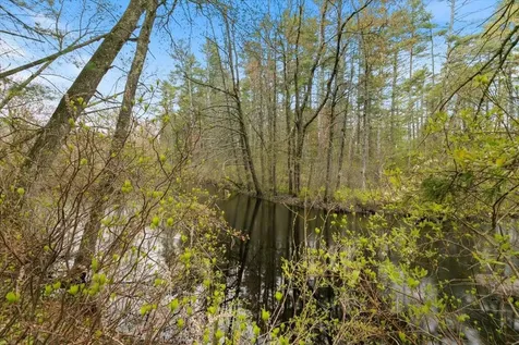 149 Pheasant Run Drive Chester NH 03036