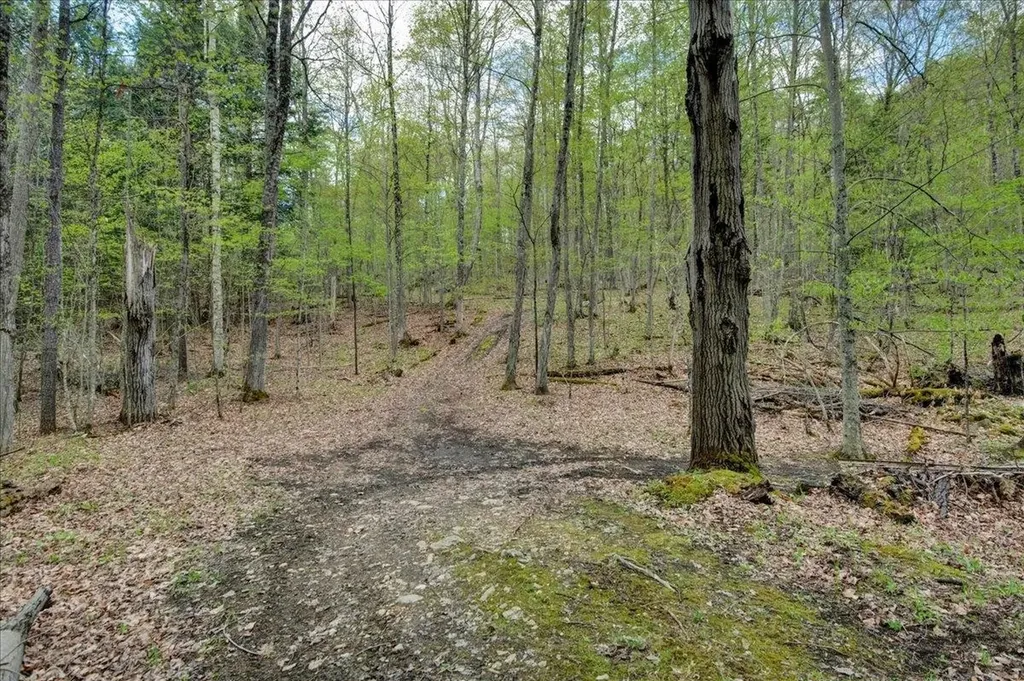 226 Willowbrook Road Sudbury VT 05733