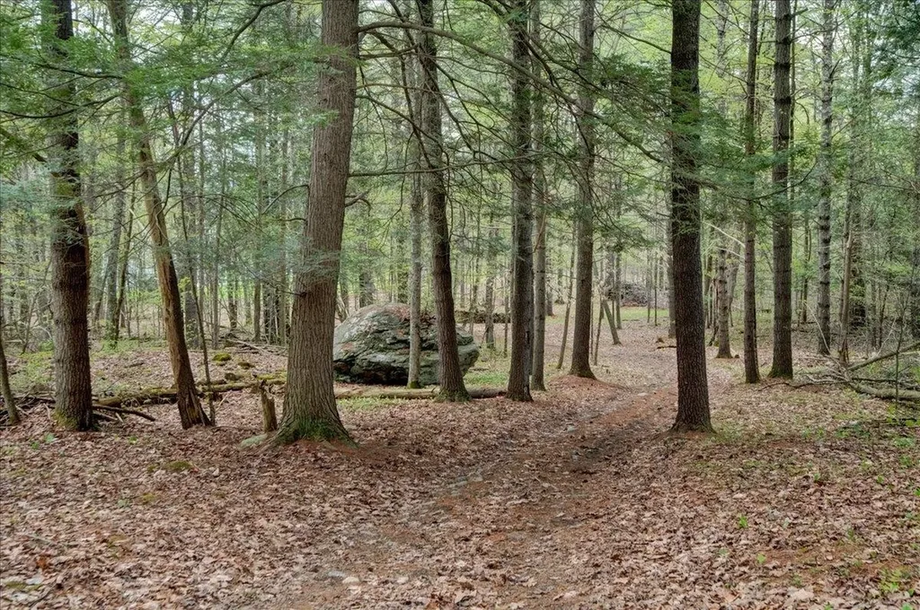 226 Willowbrook Road Sudbury VT 05733
