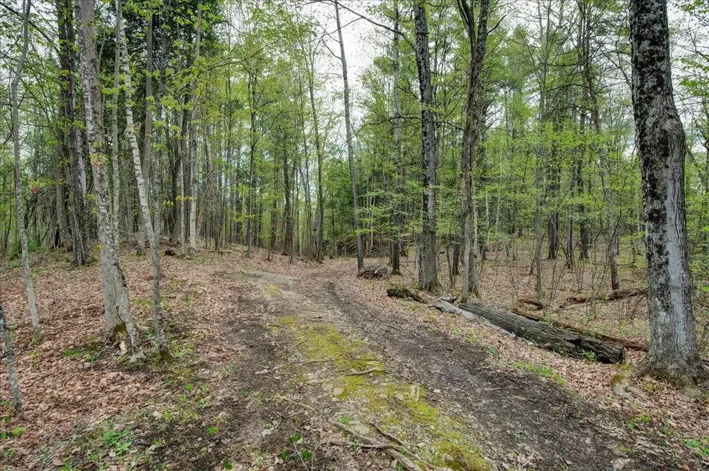 226 Willowbrook Road Sudbury VT 05733