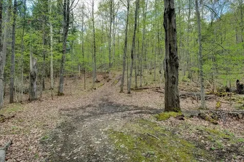 226 Willowbrook Road Sudbury VT 05733