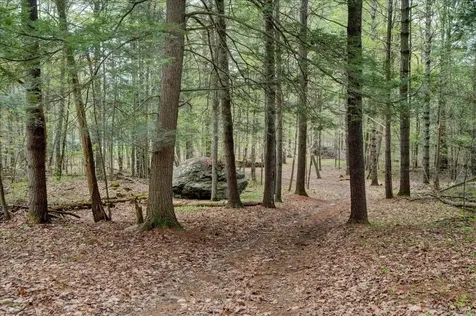 226 Willowbrook Road Sudbury VT 05733