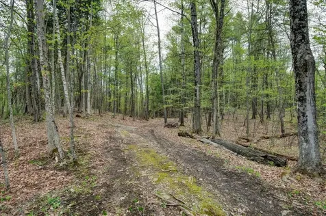 226 Willowbrook Road Sudbury VT 05733
