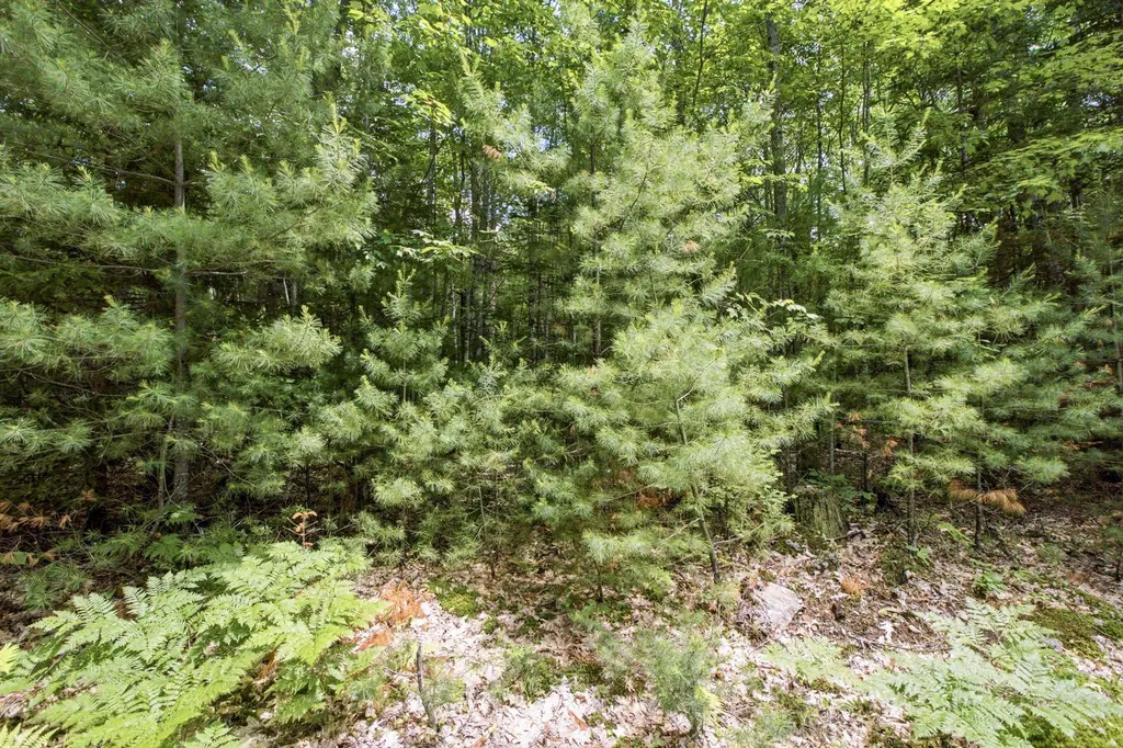 38 F Lang Road Bath NH 03740