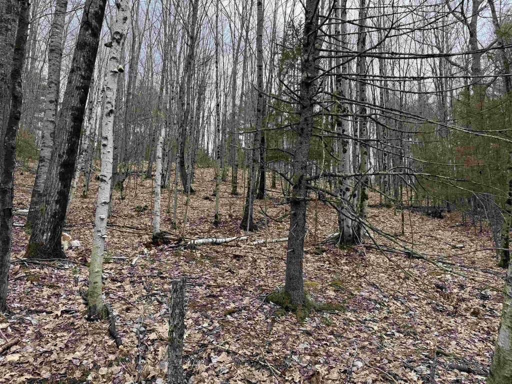 38 F Lang Road Bath NH 03740