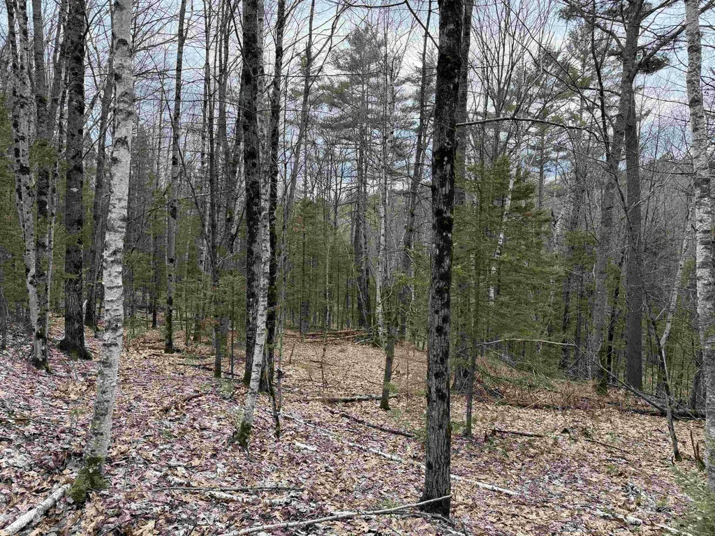38 F Lang Road Bath NH 03740