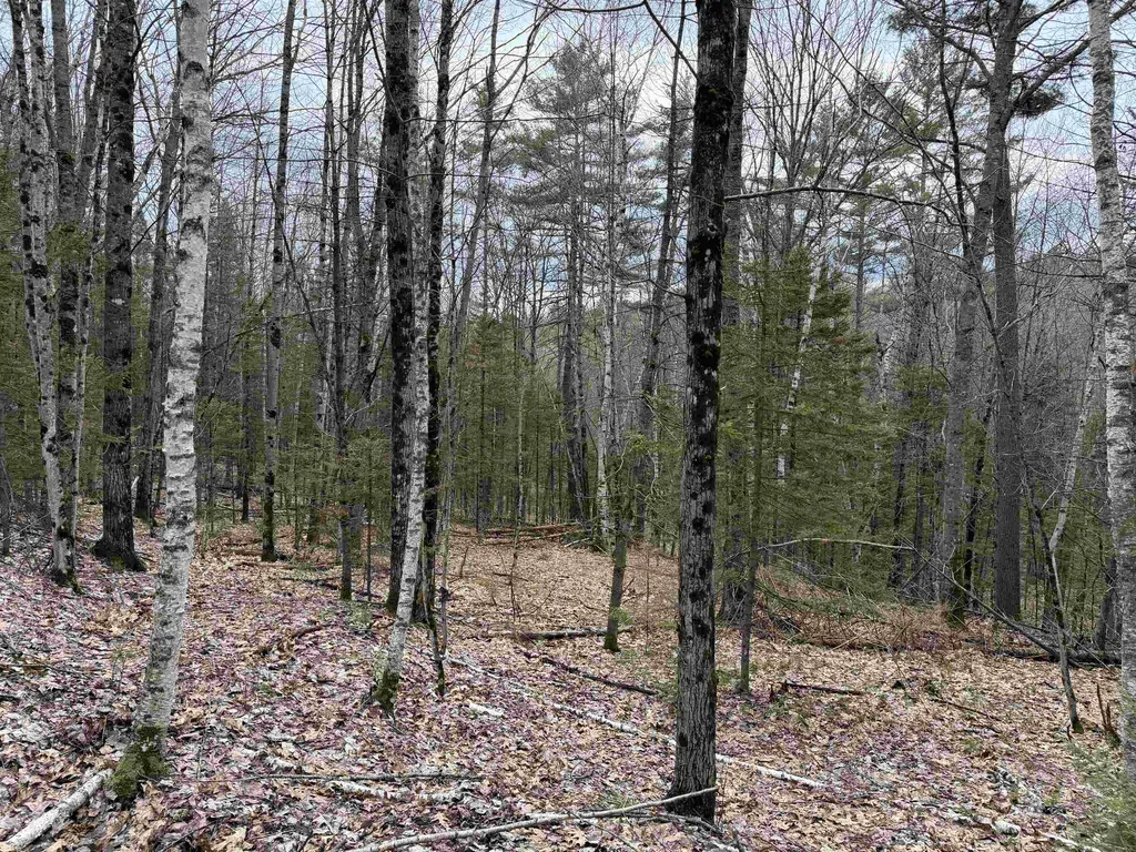 38 F Lang Road Bath NH 03740