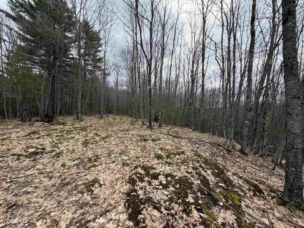 38 F Lang Road Bath NH 03740