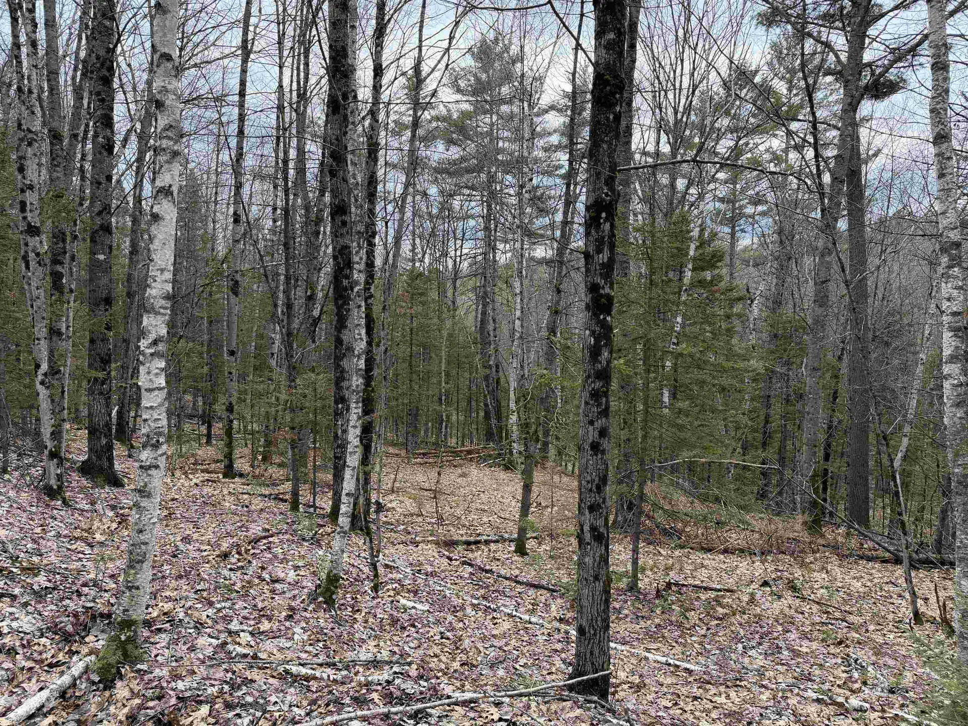 38 F Lang Road Bath NH 03740