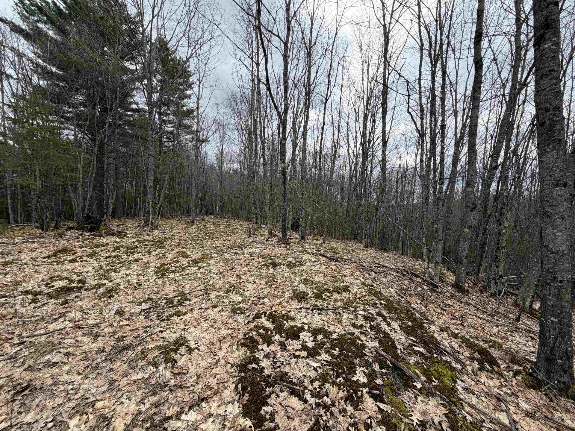 38 F Lang Road Bath NH 03740