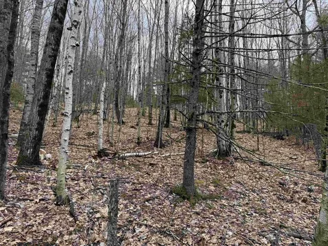 38 F Lang Road Bath NH 03740