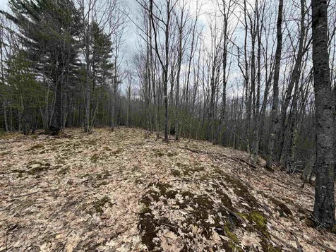 38 F Lang Road Bath NH 03740