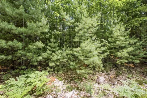 38 F Lang Road Bath NH 03740